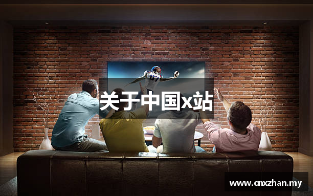 关于中国x站